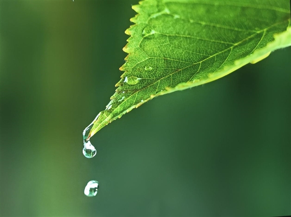 哪款比较好 最建议买的客厅投影仪推荐pg模拟器2024年客厅投影仪推荐(图6) 哪款比较好 最建议买的客厅投影仪推荐pg模拟器2024年客厅投影仪推荐(图6)